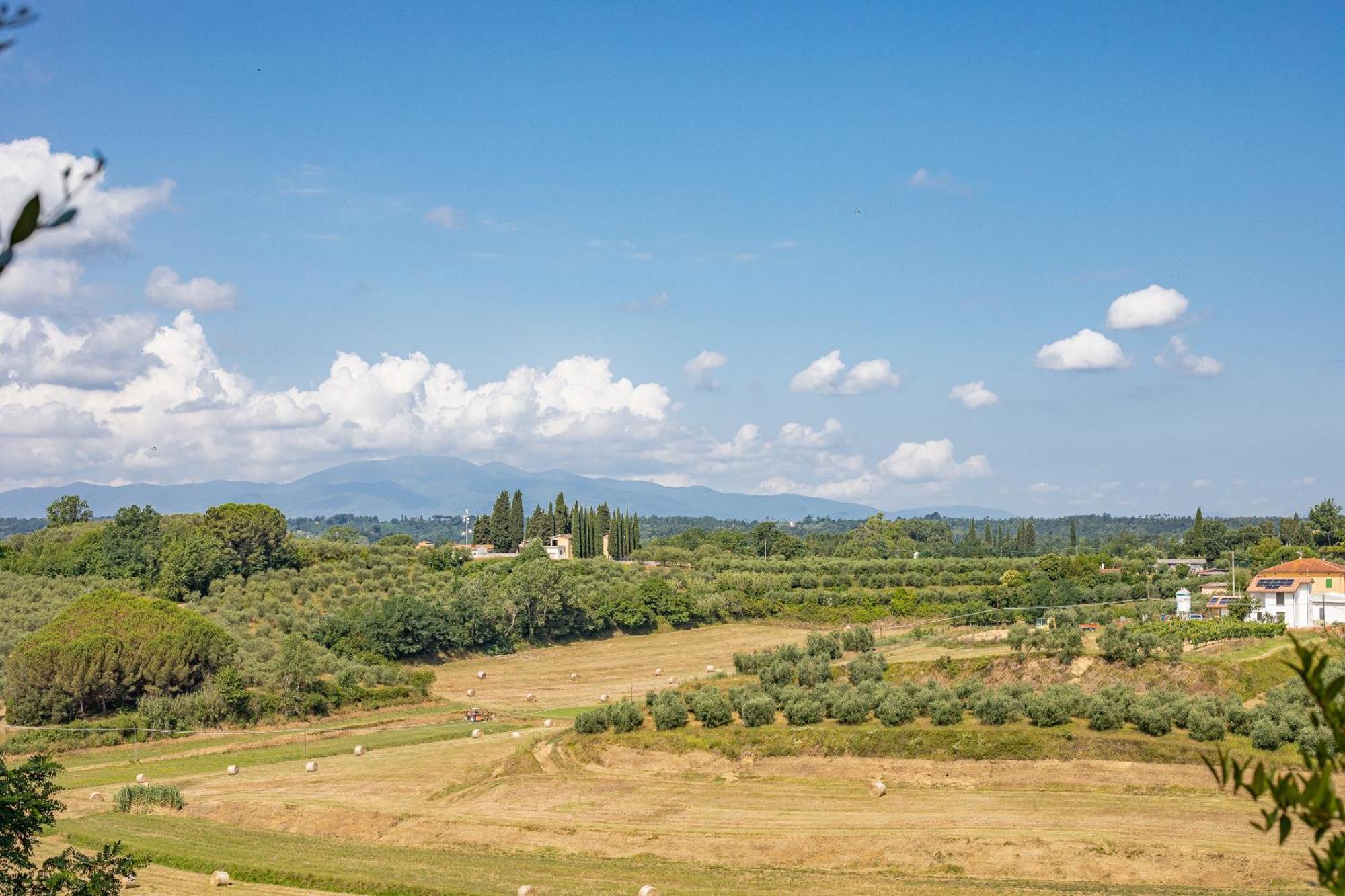 Fienile Cipresso, Art Of Living Tuscany Torre Buitenkant foto
